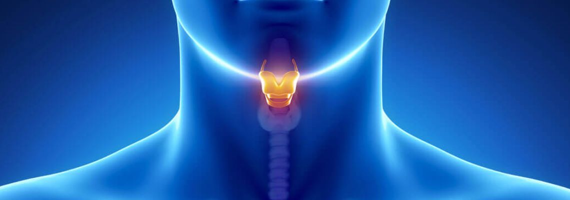 Your Trusted Cancer Surgeon in Ahmedabad – Expert Care for Hope & Healing