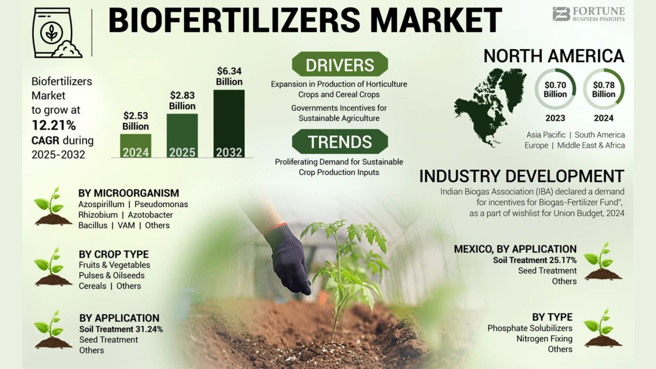 Biofertilizers Market Size, Share, Report Analysis, 2032