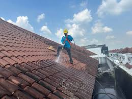 How Roof Cleaning Services in Linden Boost Curb Appeal and Roof Life