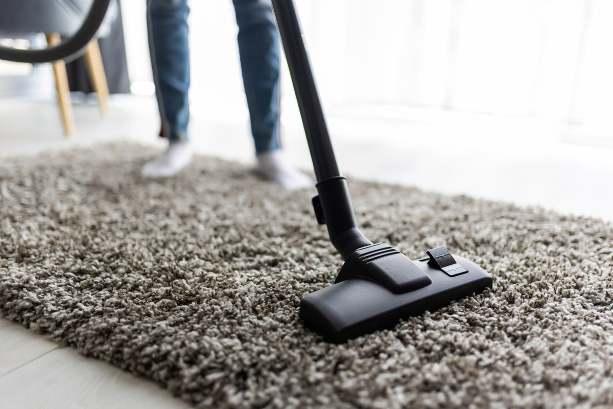 The Ultimate Guide to Carpet Cleaning in Miami Keep Your Home Fresh and Healthy