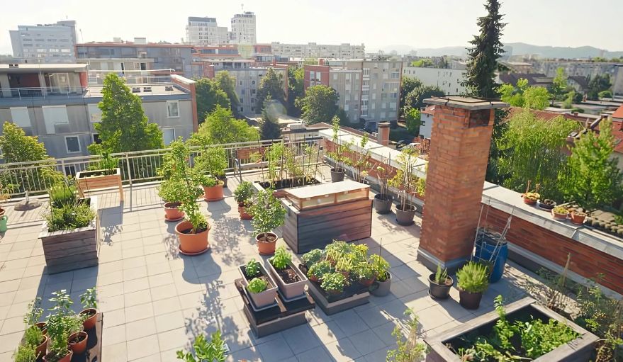 Mastering Terrace Gardening: A Comprehensive Guide to Success