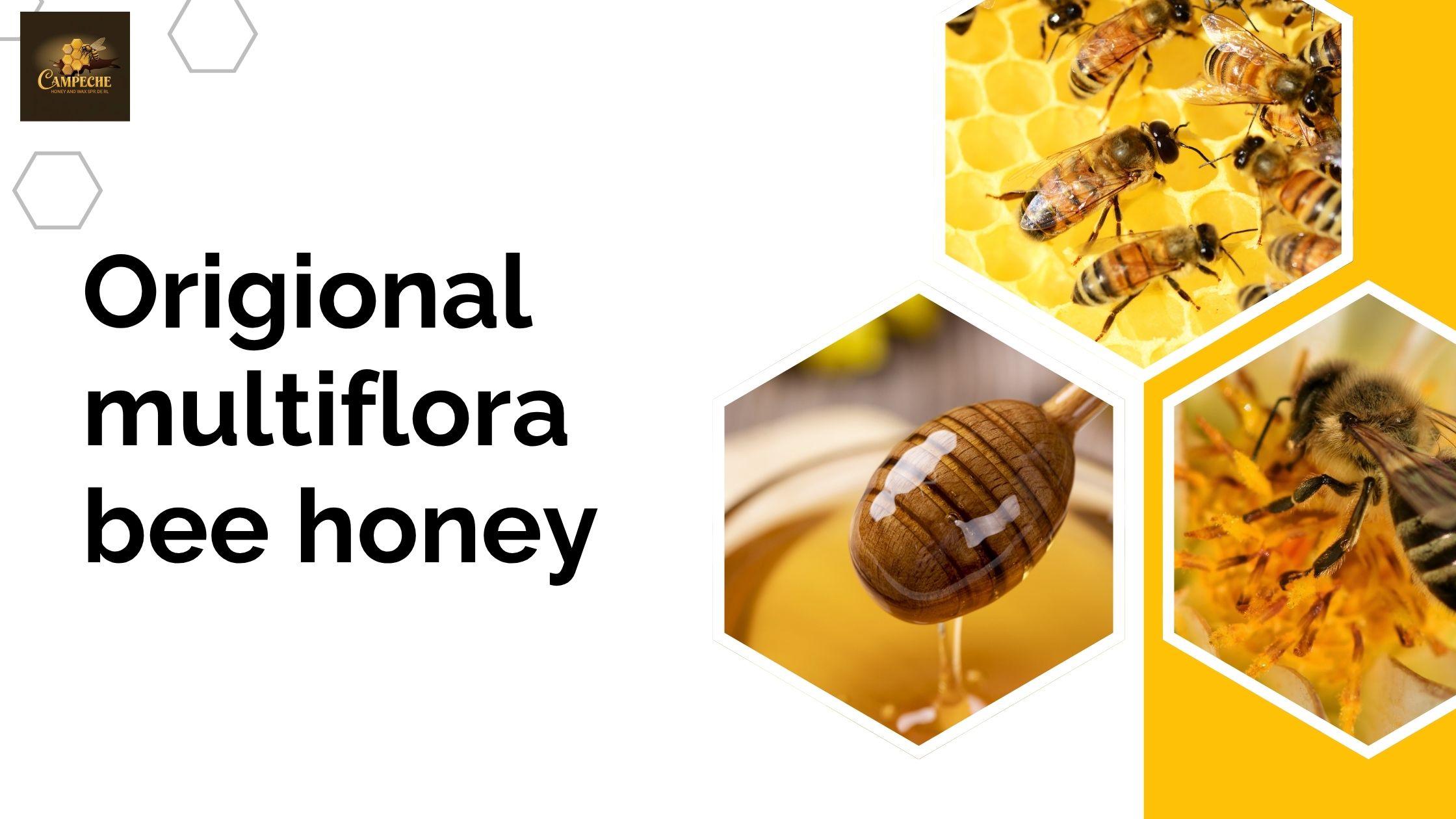 Buy Original Multiflora Bee Honey – Natural Health in Every Spoon