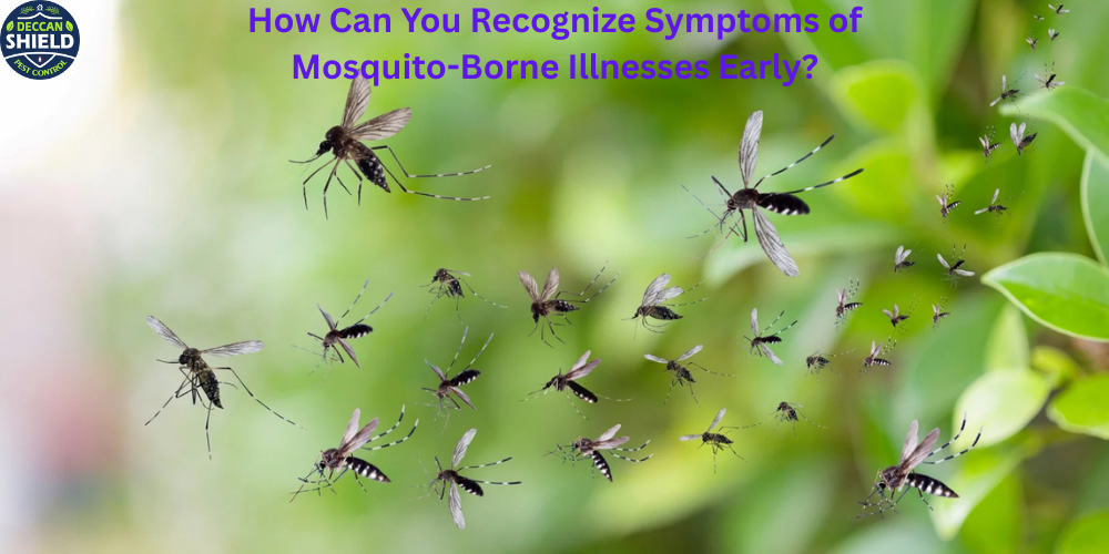 How Can You Recognize Symptoms of Mosquito-Borne Illnesses Early?