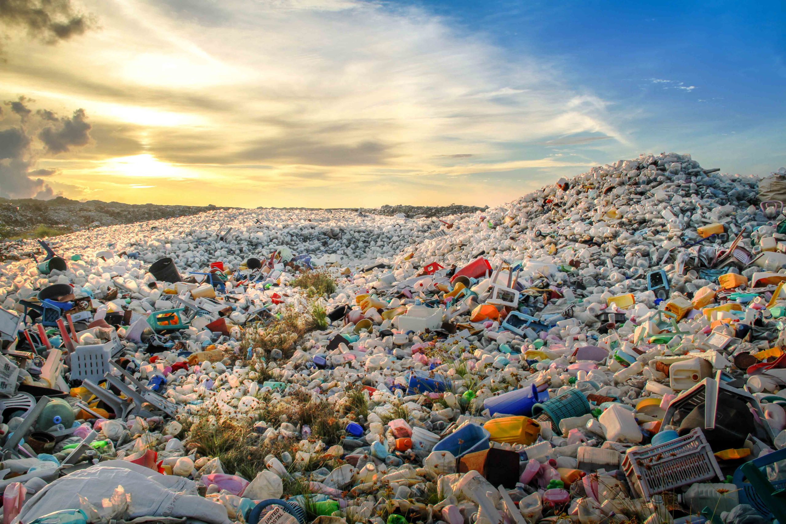 Harvest Waste: Driving Innovation in the Netherlands Waste Management Market