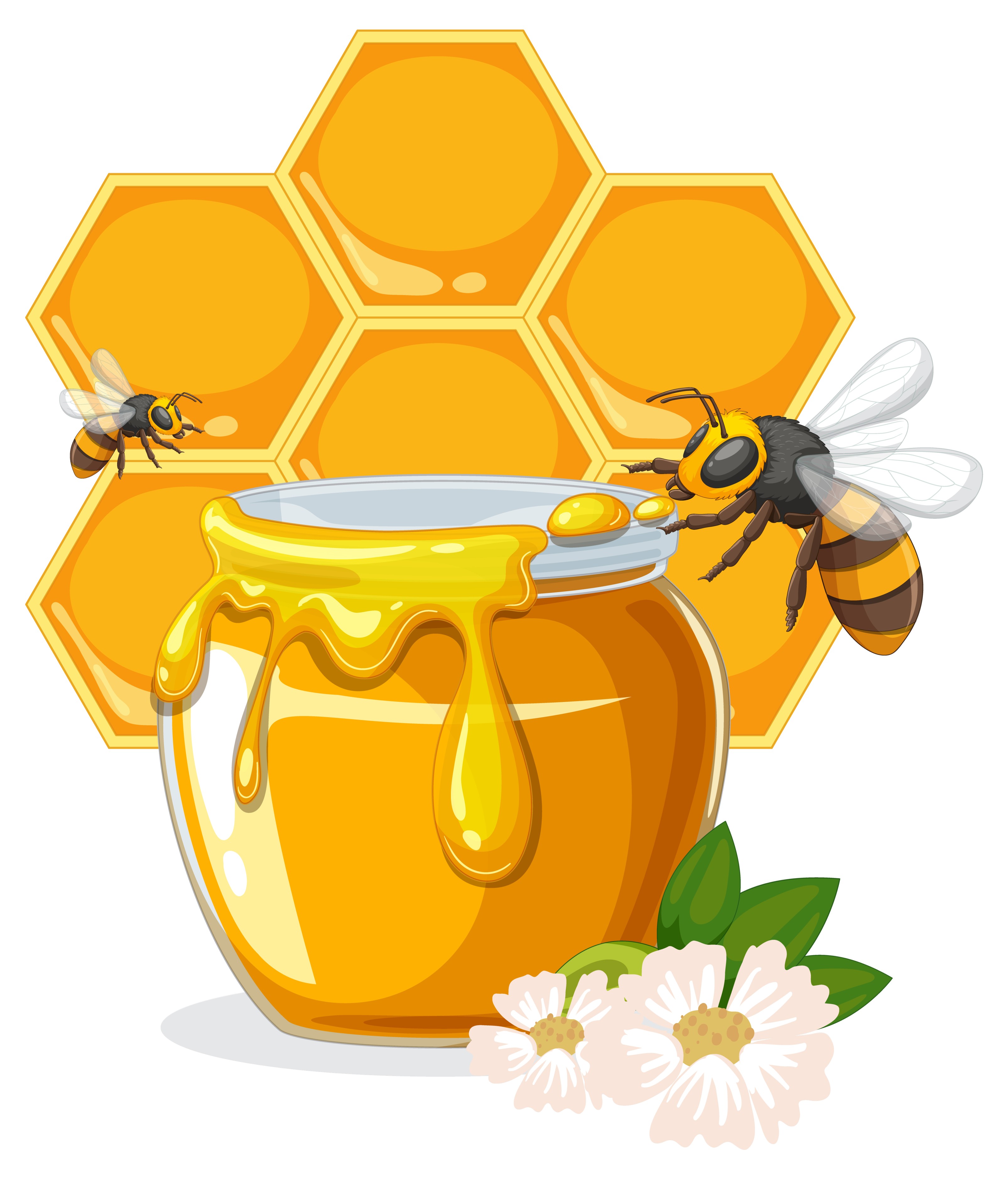 Honey Market Size, Share, Growth, Trends, 2032