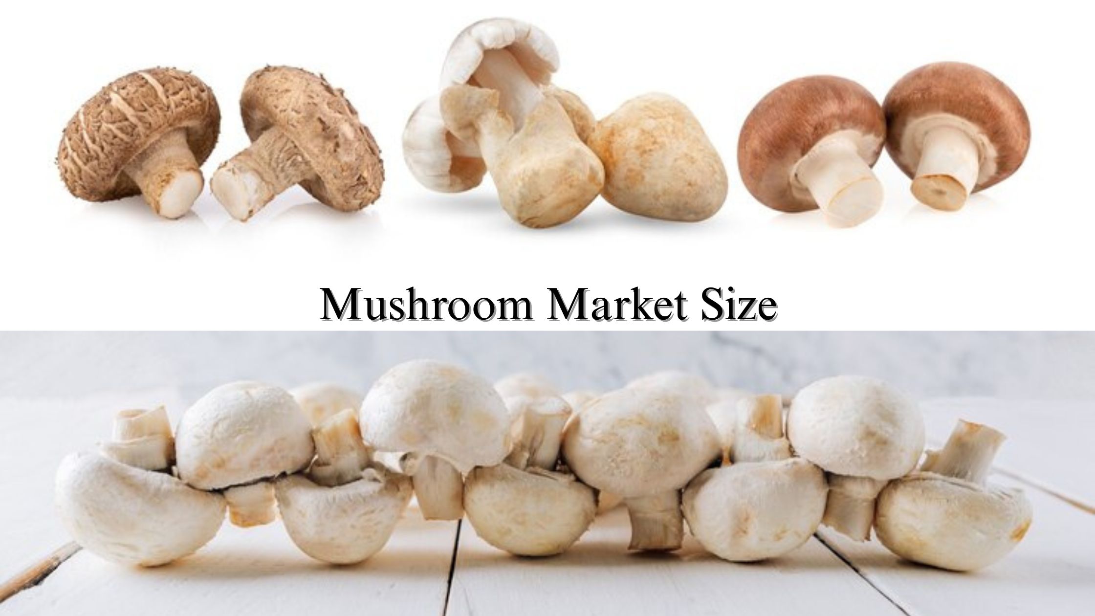 Mushroom Market Size, Share, Growth Forecast, 2032