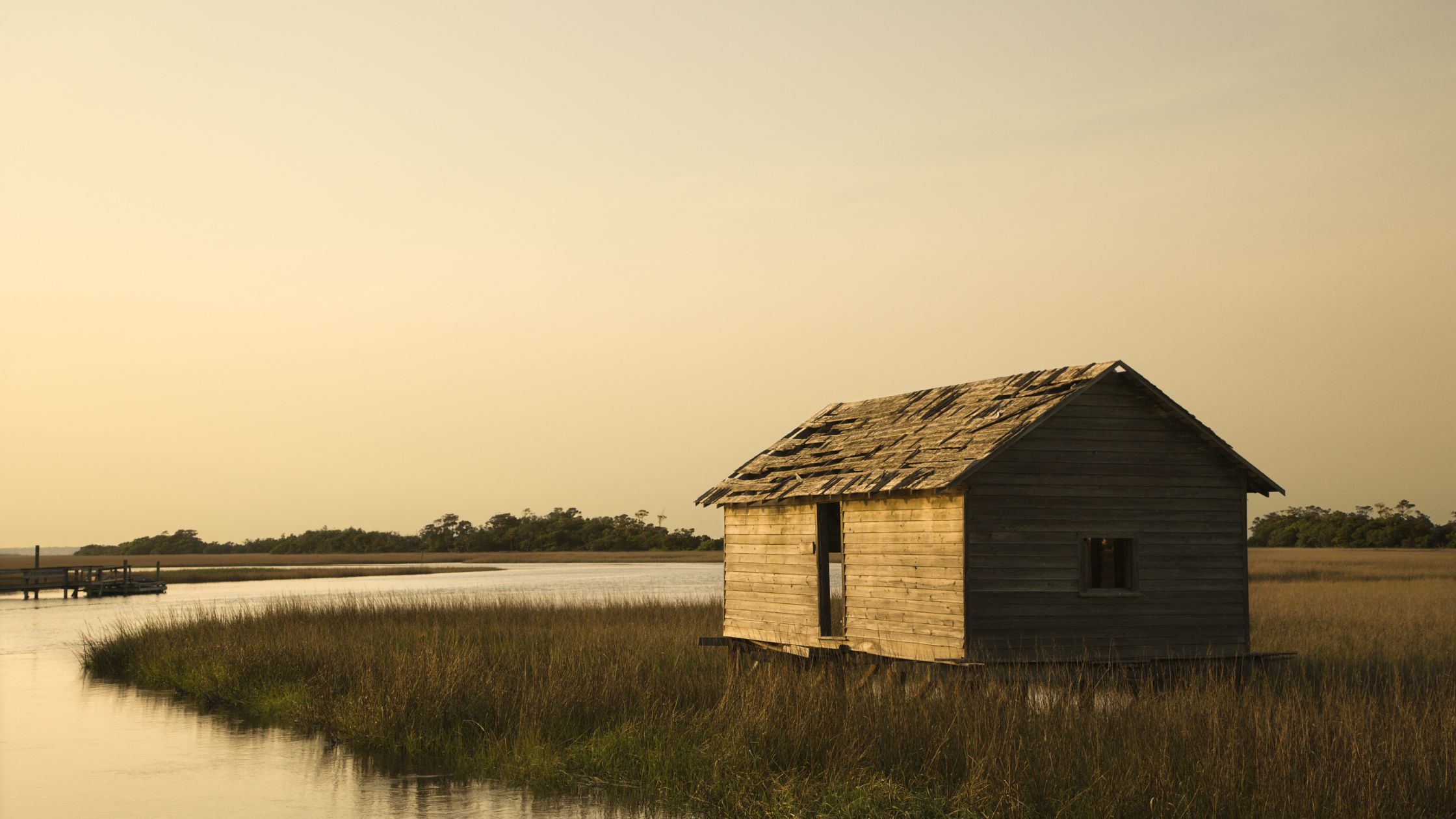 Can You Build on Wetlands in Florida?