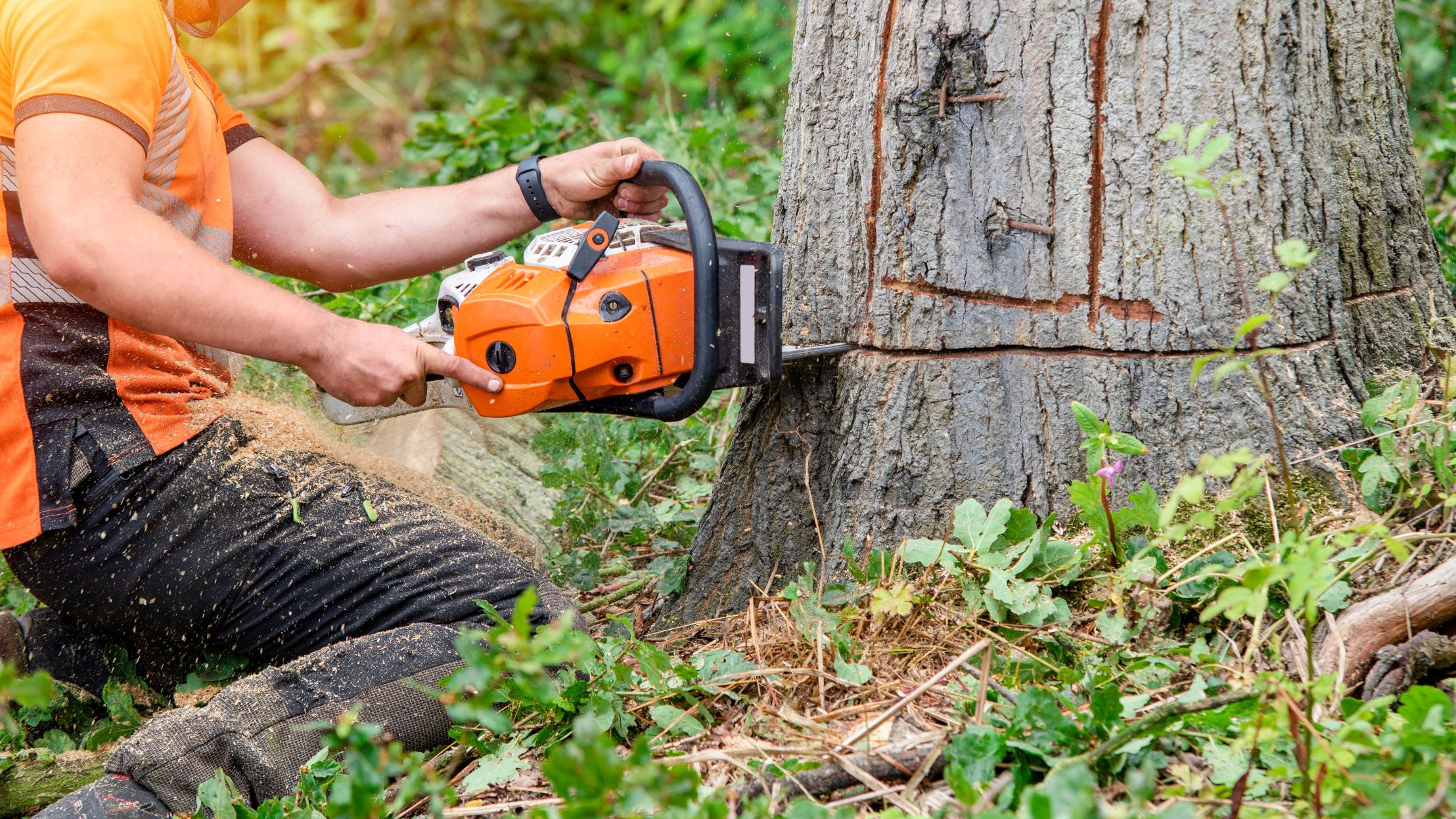 How is lumber made?