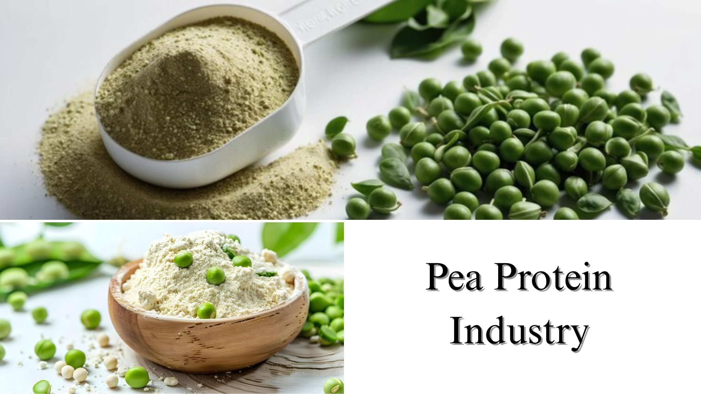 Pea Protein Industry Size, Share, Report Analysis, 2032