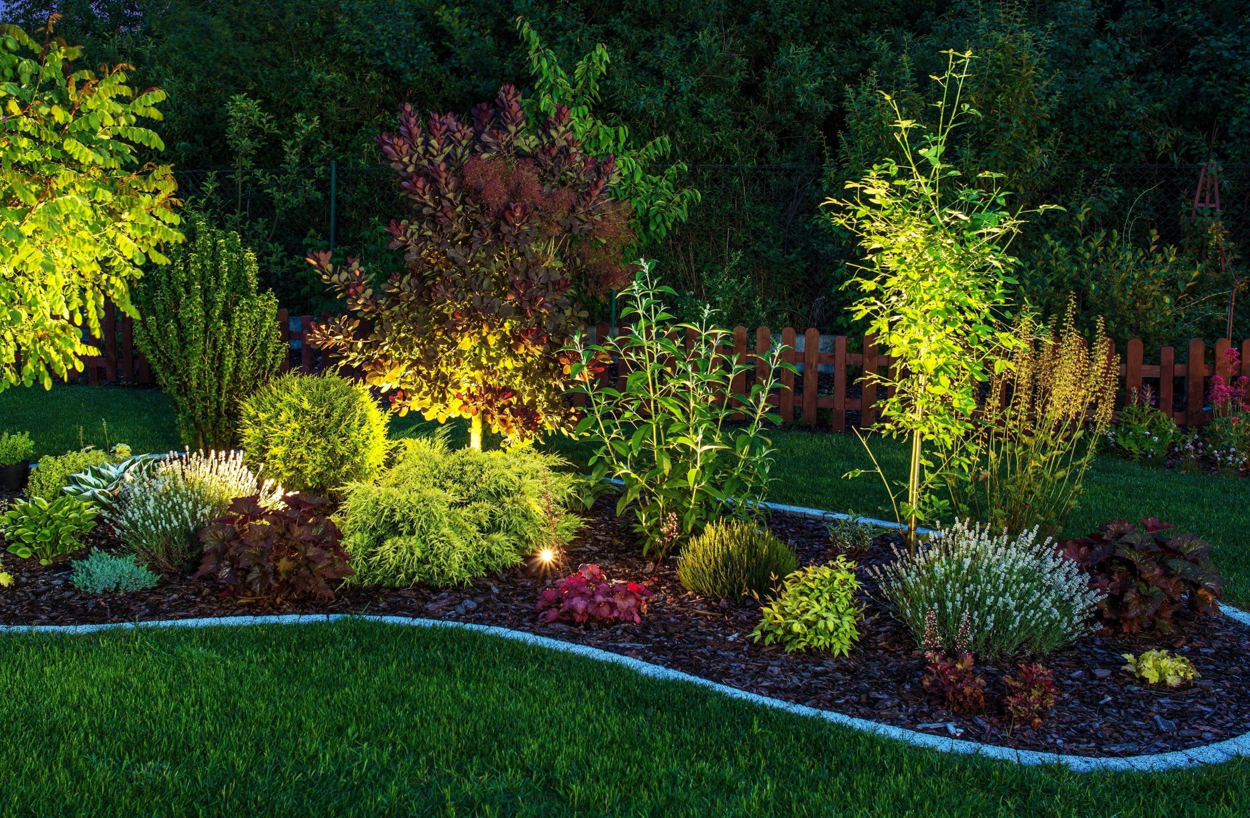 The Art of Landscape Lighting: How to Enhance Your Outdoor Space at Night