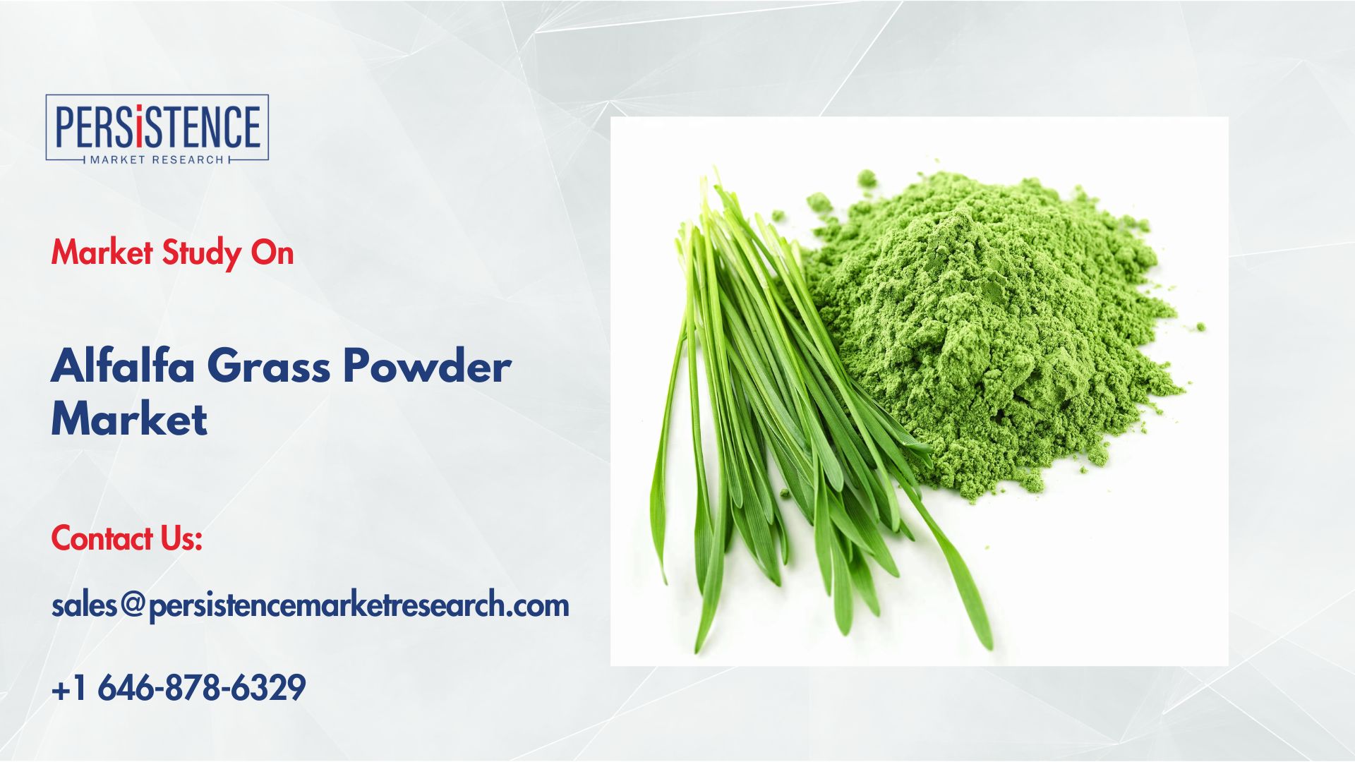 Alfalfa Grass Powder Market Growth Driven by Health Conscious Consumers