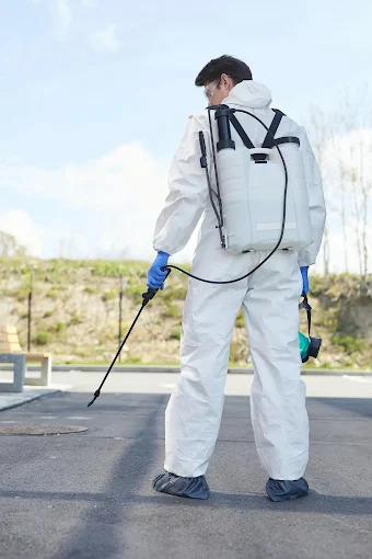 Pest Removal Services in Southfield, MI
