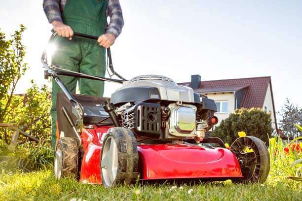 The Middle East Lawn Care Market Revolution: Key Growth Drivers and Market Potential