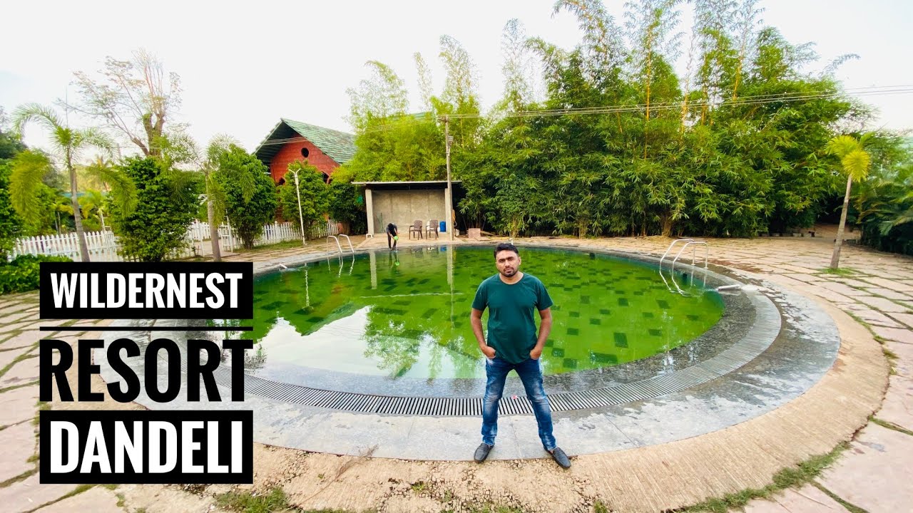 Ultimate Guide to Dandeli Resort Packages: Activities, Meals, and Budget-Friendly Stays