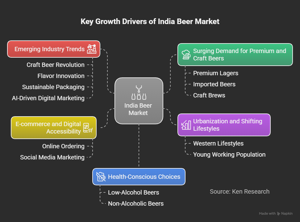 What Are the Growth Demand and Industry Trends in the India Beer Market?
