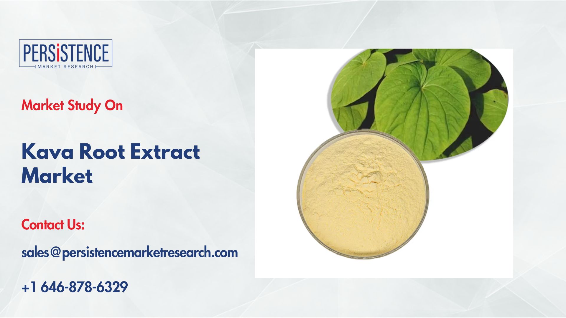Kava Root Extract Market Key Players and Competitive Landscape