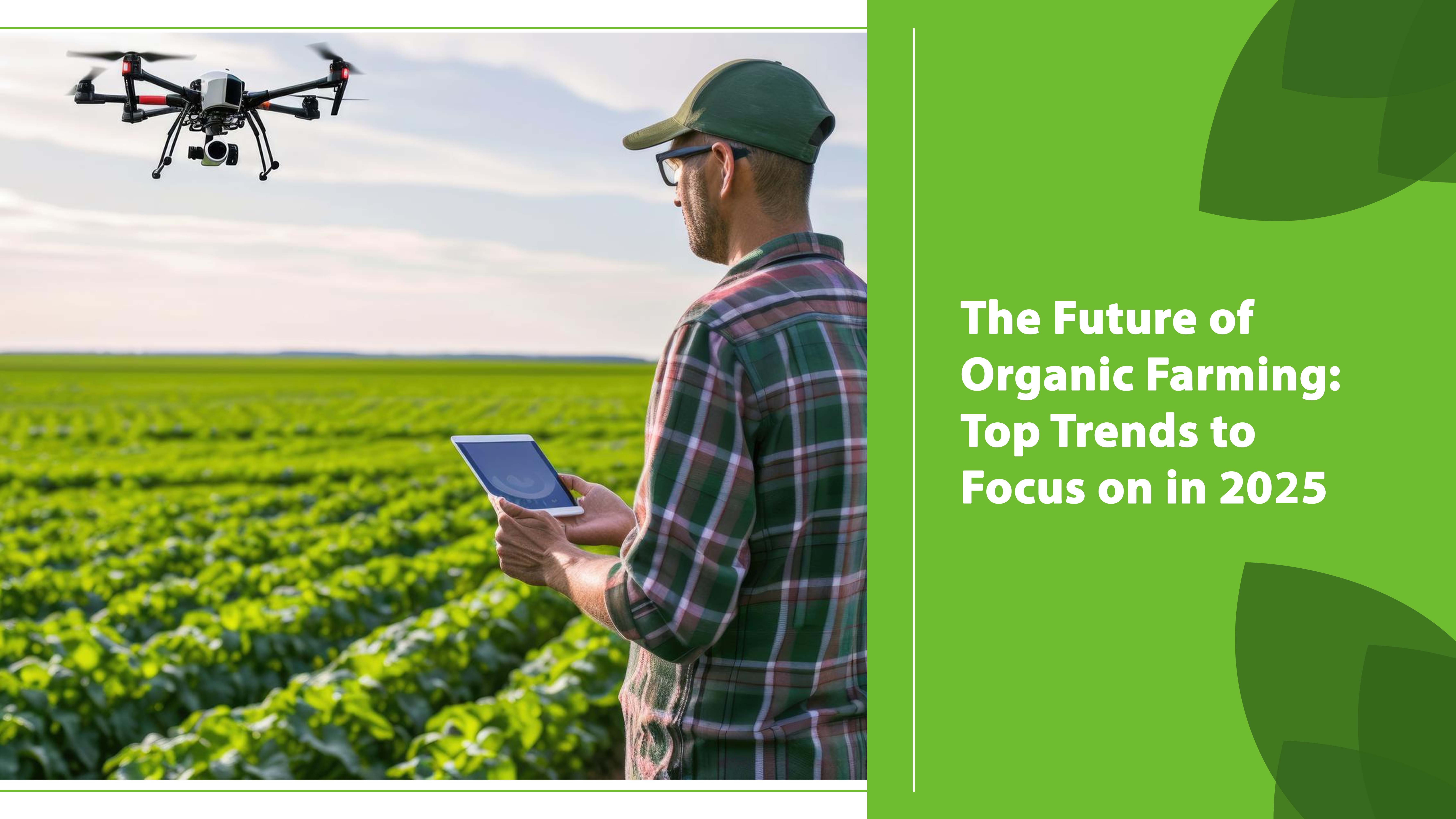 The Future of Organic Farming: Top Trends to Focus on in 2025