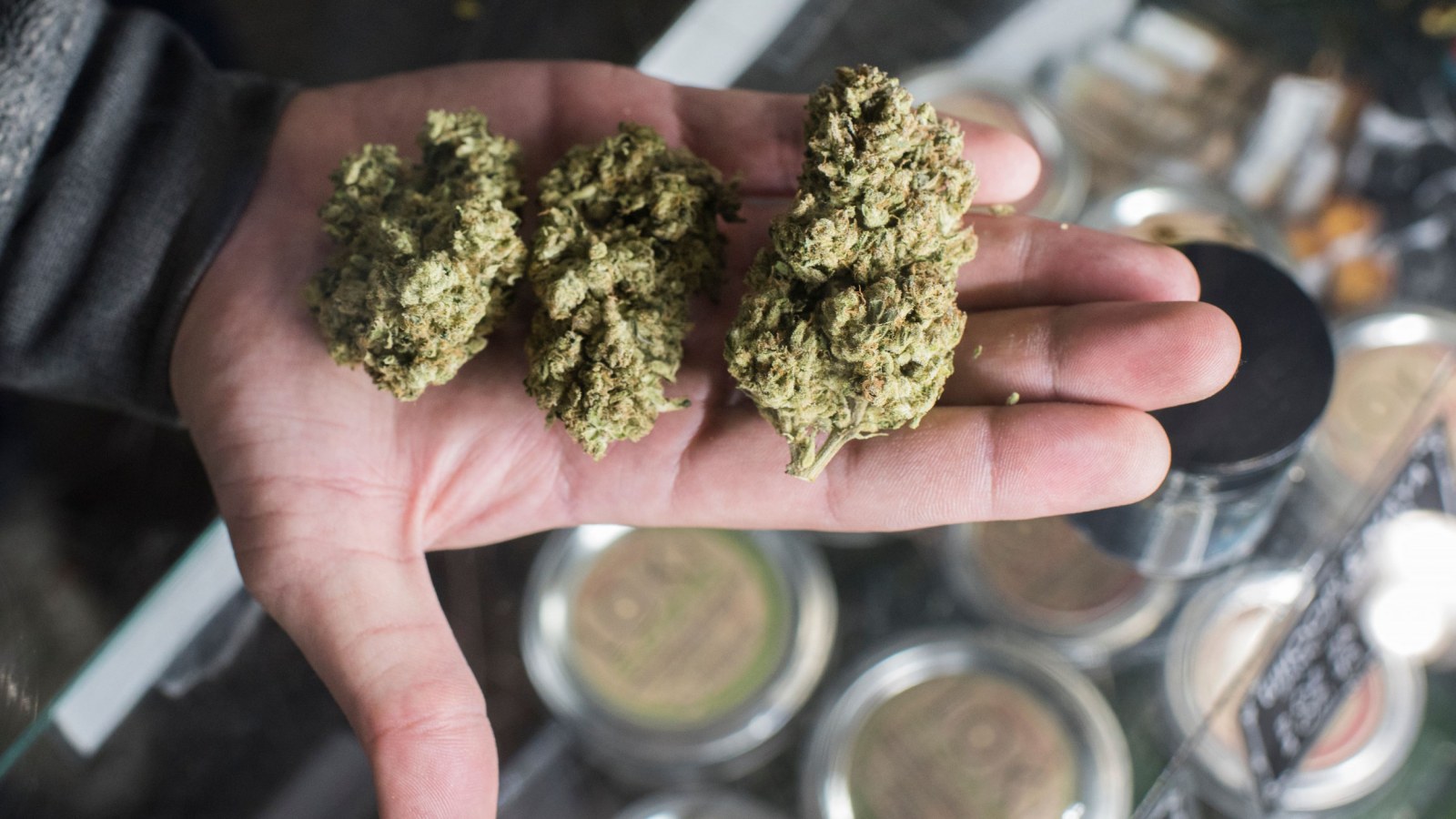 What Prices Should You Expect on the Best Dispensary in Massachusetts?