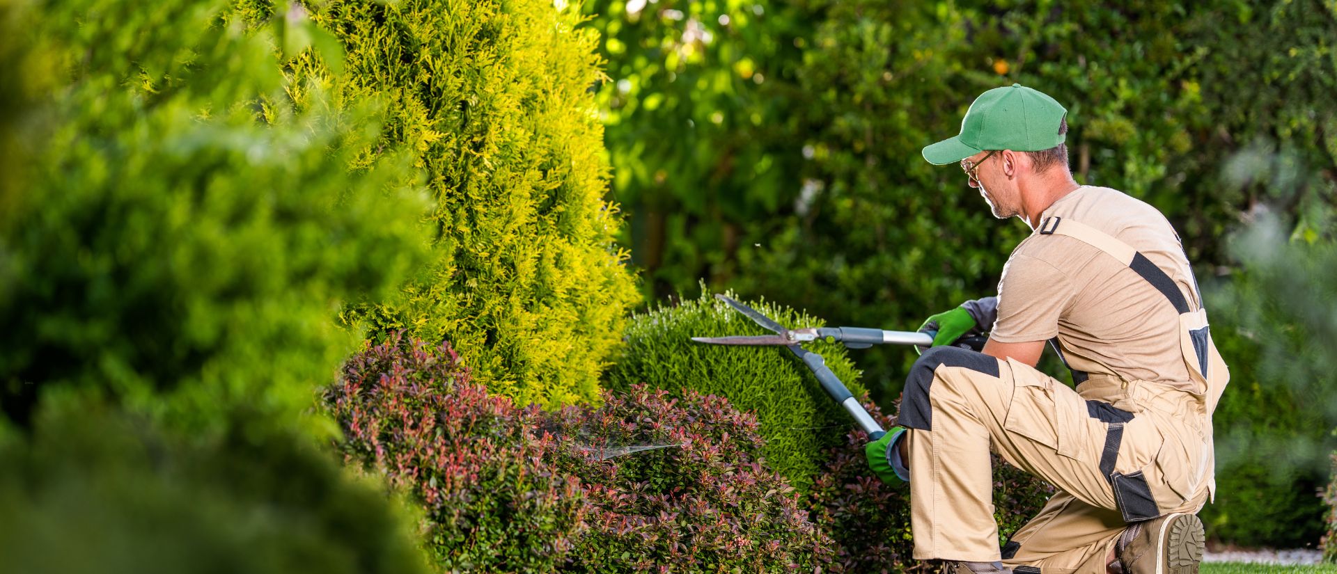 Gartenpflege Wien - a professional gardening company in vienna