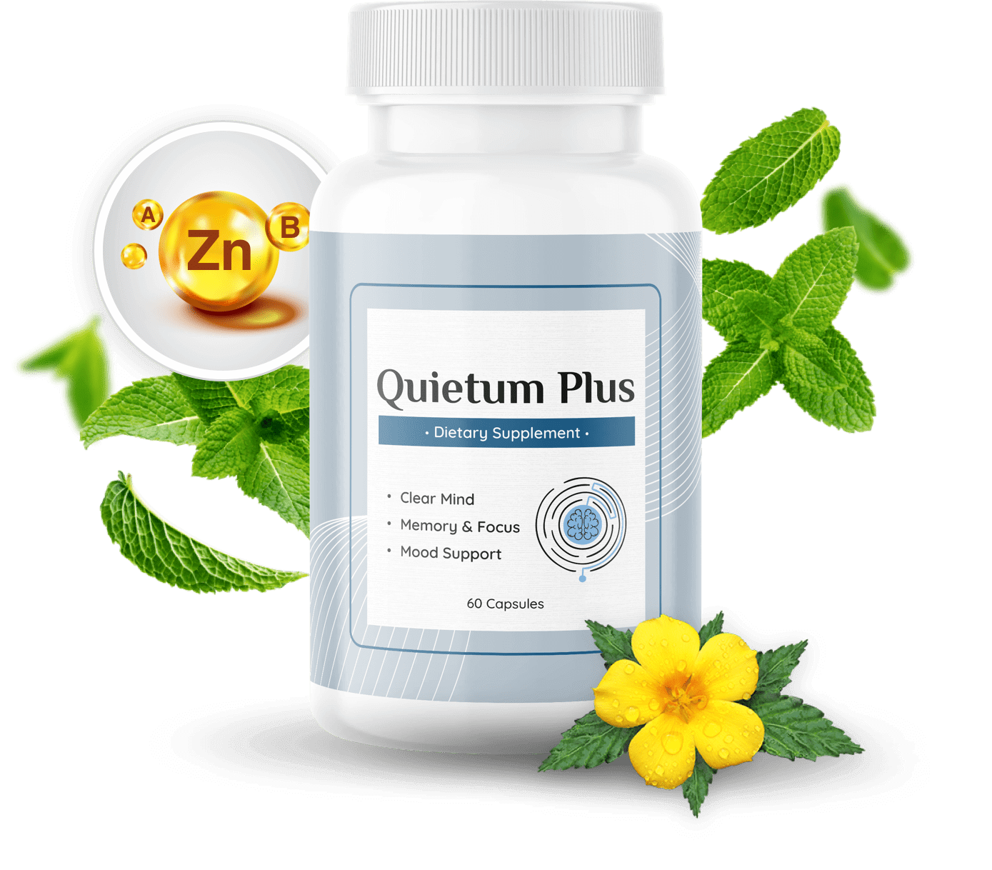 Quietum Plus Review.