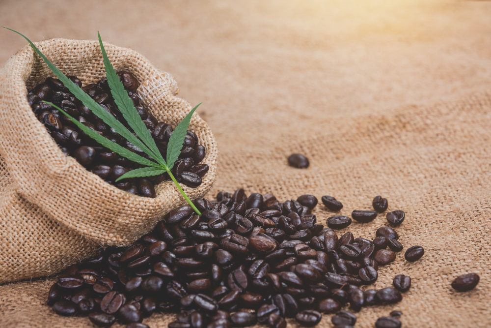 The Truth About Organic Coffee and Its Rich Flavor