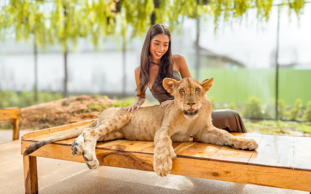 How I Learned About Wildlife at Lion Land Phuket