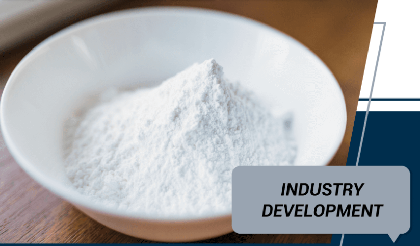 Titanium Dioxide Market Industry Value Chain and Market Linkages 2025-2032