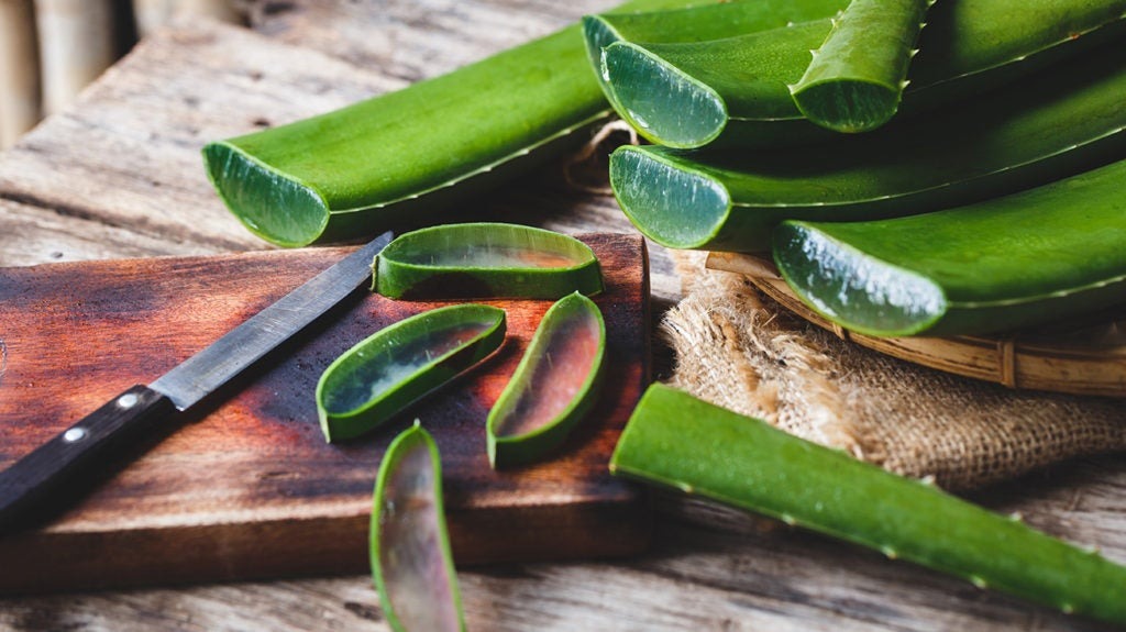 Aloe Vera Processing Plant Cost Report 2025 | Machinery Requirements and Setup Layout