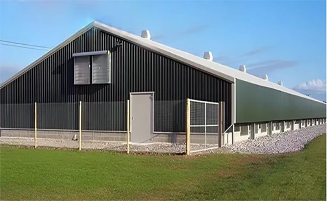 Fraser Valley’s Demand for Steel Buildings: What’s Driving the Growth?