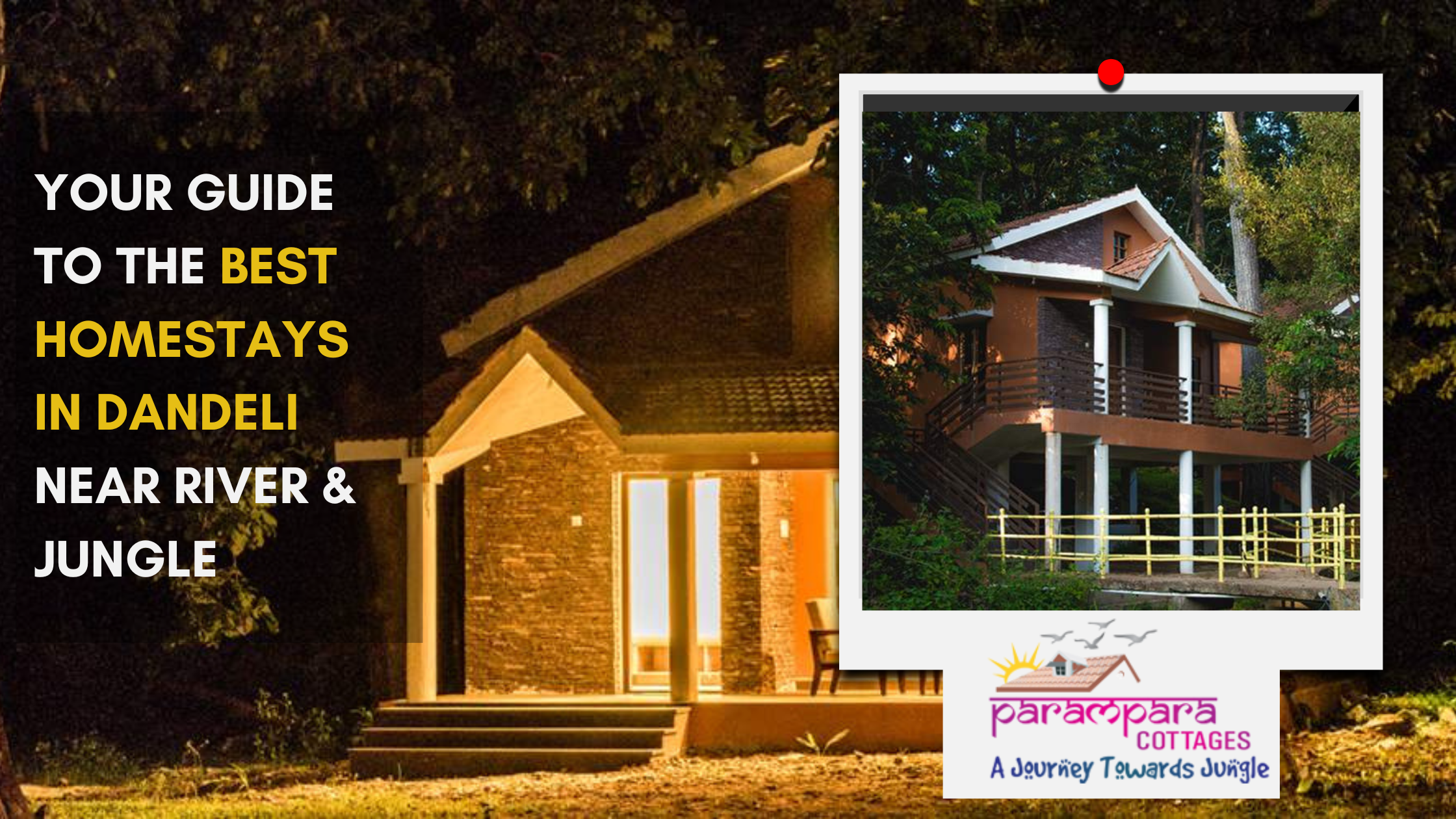 Your Guide to the Best Homestays in Dandeli Near River & Jungle