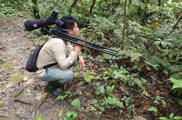 Best Amazon Jungle Tours for Jungle Adventure Peru
