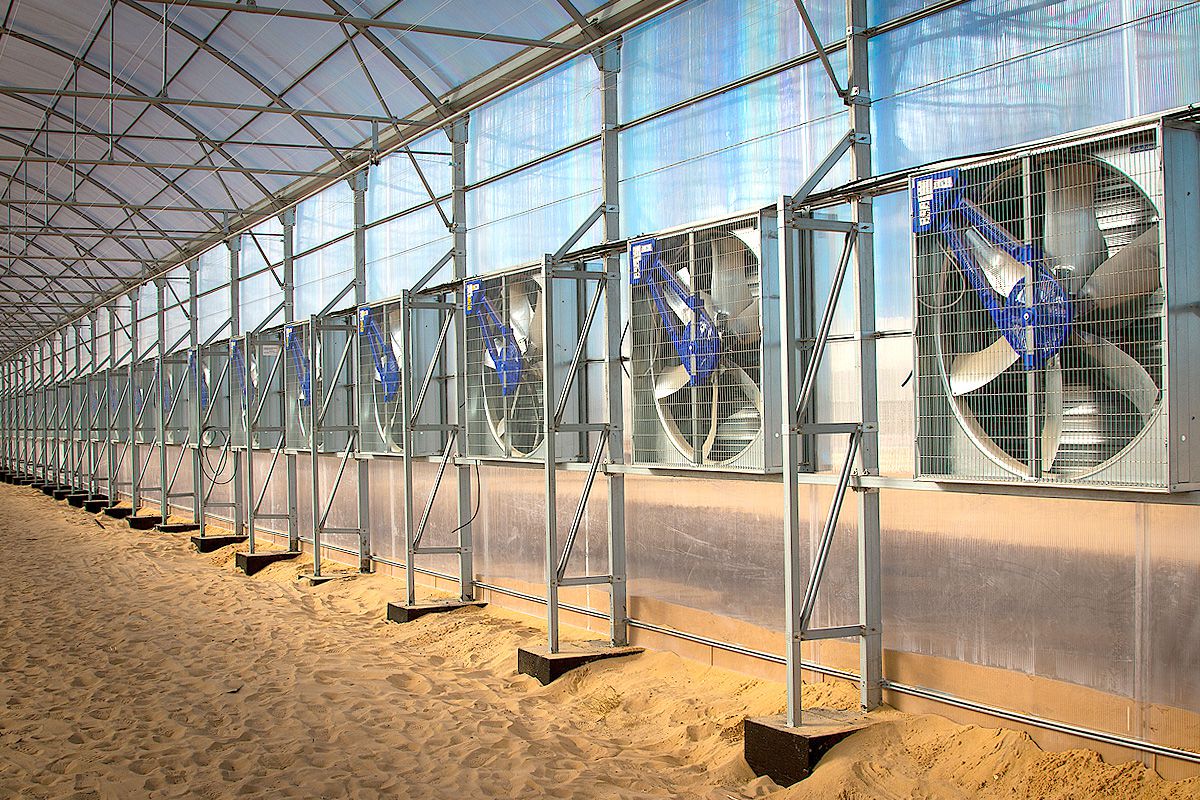 Technological Advancements Driving Growth in Thailand Ventilation Fan Market
