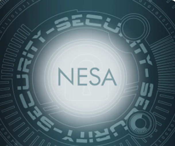 Strengthening Cybersecurity in the UAE: Navigating NESA Compliance with Expert Consulting Services