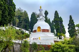 Exploring the Peace Pagoda Darjeeling