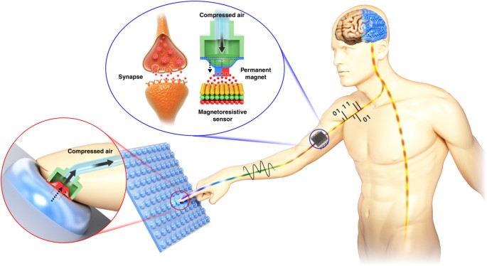 How is Elan Microelectronics Revolutionizing the Asia-Pacific Tactile Sensor Market? Key Strategies and Innovations Driving the Future