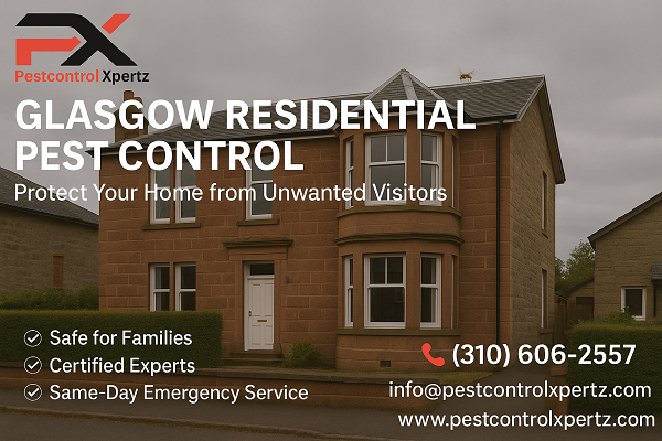 Why Residential Pest Control in Glasgow Is Essential for Every Homeowner