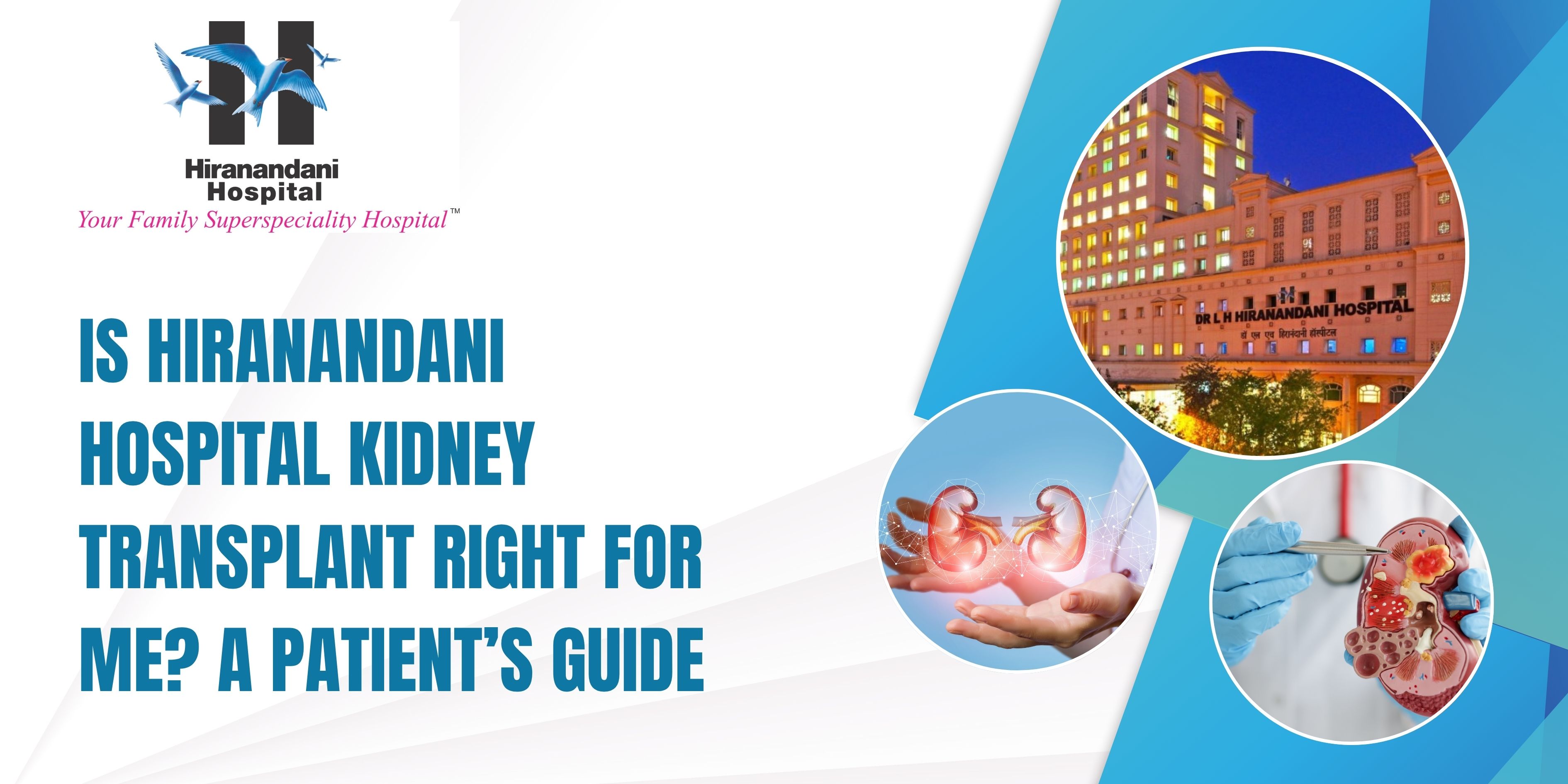 Is Hiranandani Hospital Kidney Transplant Right for Me? A Patient’s Guide