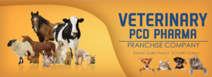 Tips To Choose the Best Pcd Veterinary Third Party Pharma Franchise in Chhattisgarh