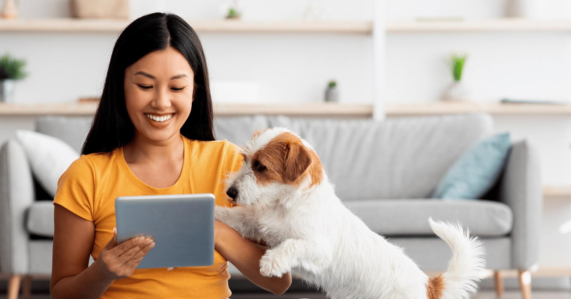 More Than a Pet Store: How Nearby Pets India is Building a Community of Compassion