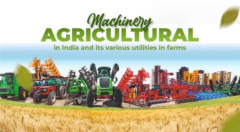 Organic Farming Vs Conventional Farming: Key Differences and Pros & Cons