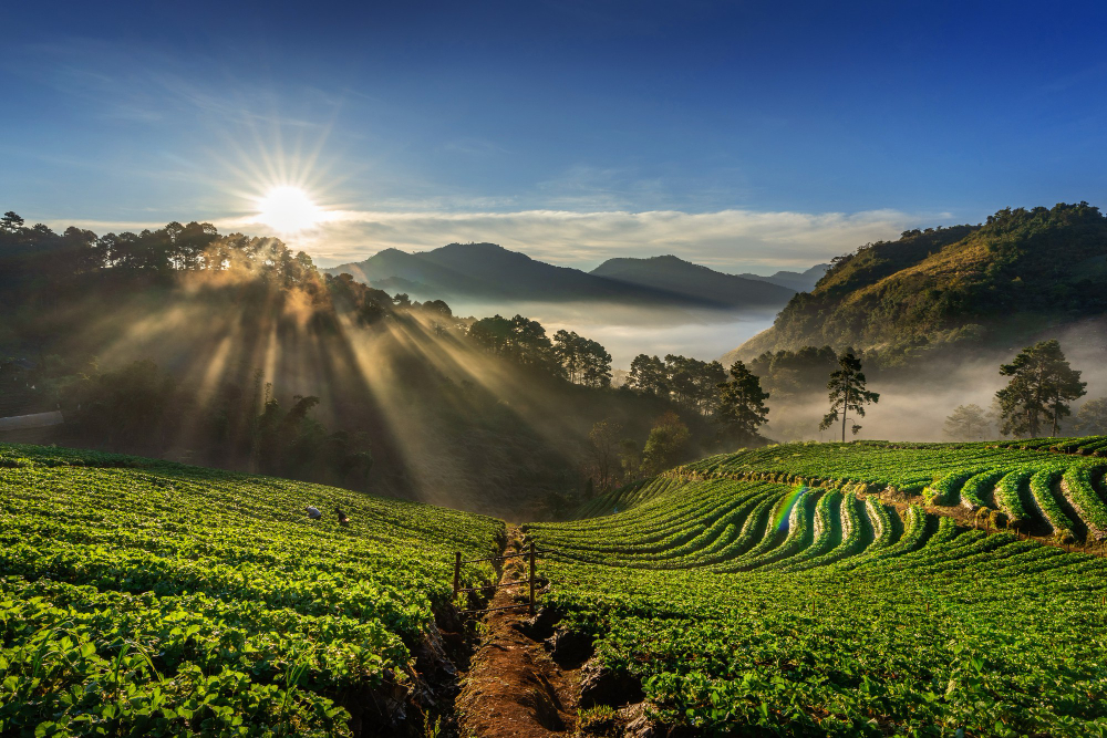 Kigali Calling: Why Rwanda Should Be Your Next Holiday Destination