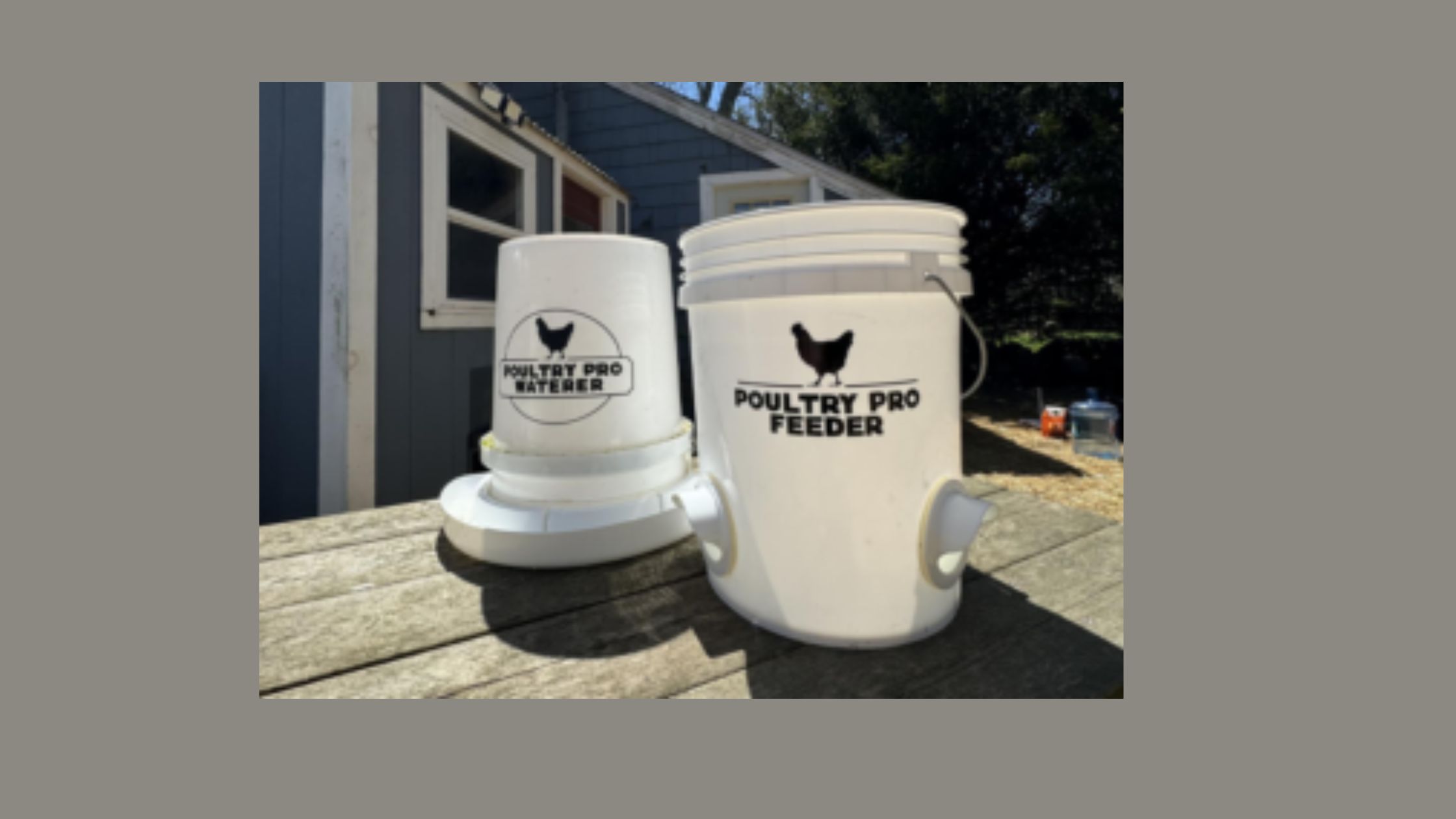 Best Places To Put Your 5 Gallon Chicken Waterer To Keep It Clean