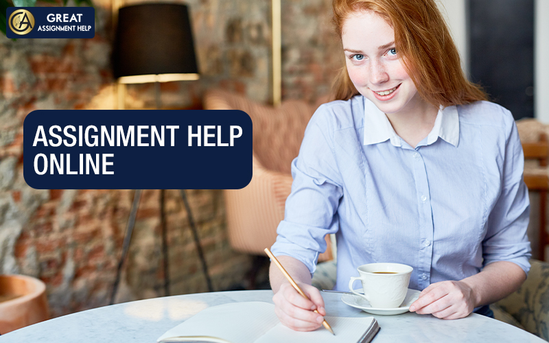 Your Academic Lifeline: Inside the World of Assignment Help Services