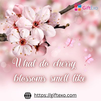 What Do Cherry Blossoms Smell Like? Discover the Enchanting Floral Scent