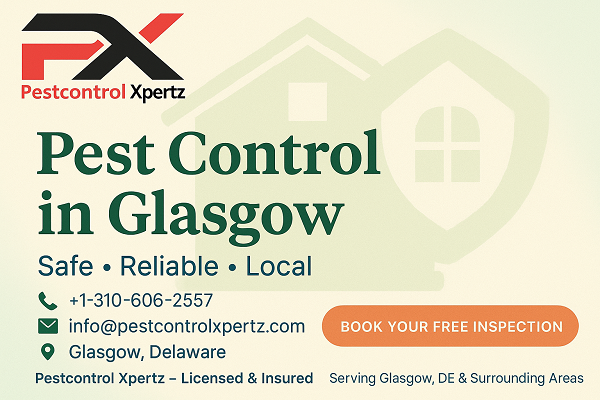Pest Control in Glasgow: Keeping Your Home Safe and Pest-Free
