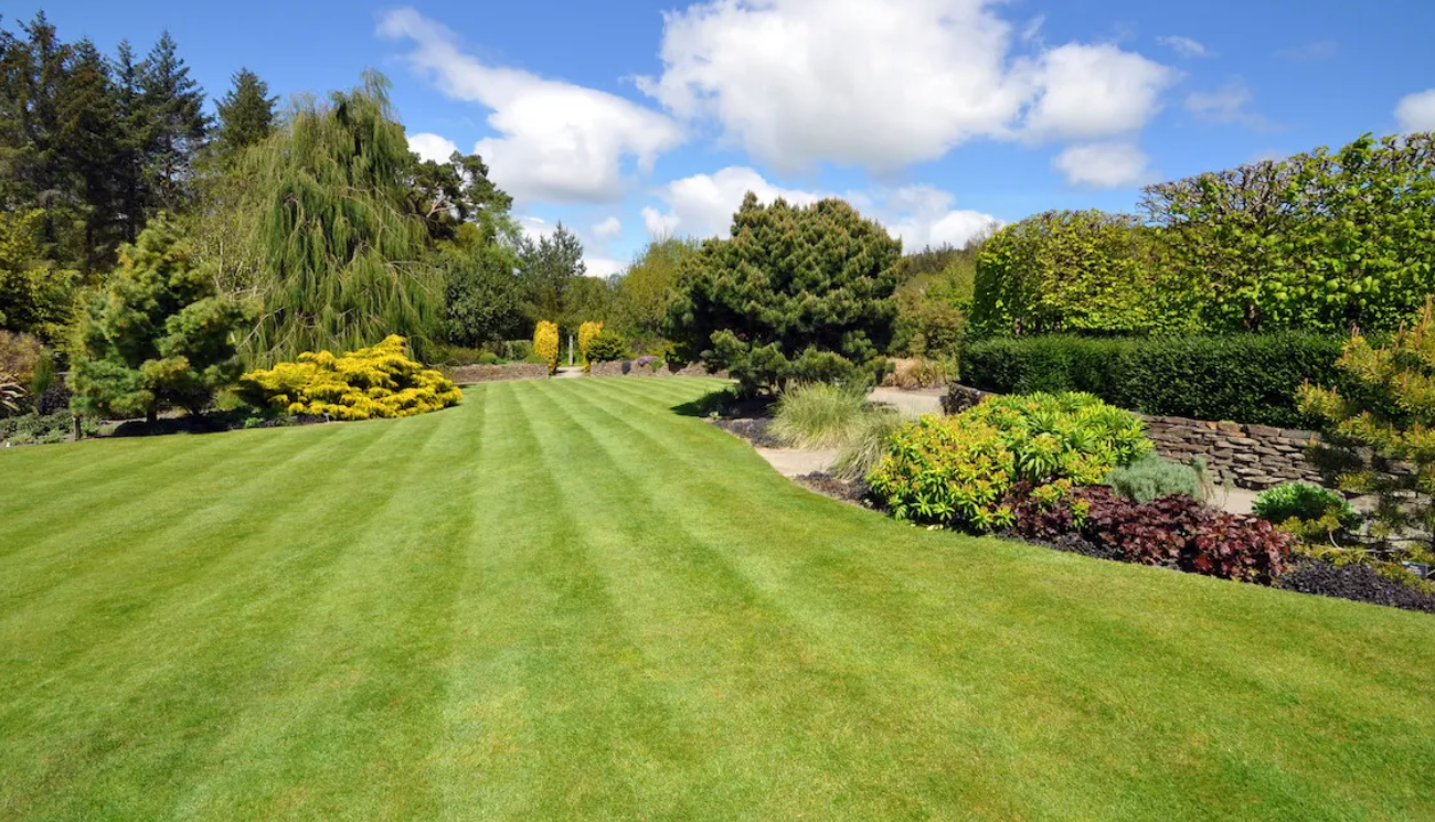 Transform Your Outdoor Space with Landscaping and Hardscape Near Palm Coast, Florida