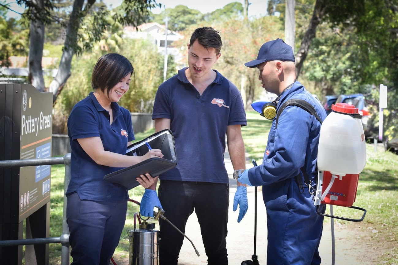 Pest Control Services – Making Homes Safer