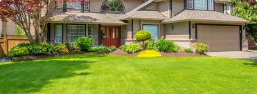 Bold & Beautiful: Tampa Commercial Landscaping by Great Dane Landscaping That Stands Out