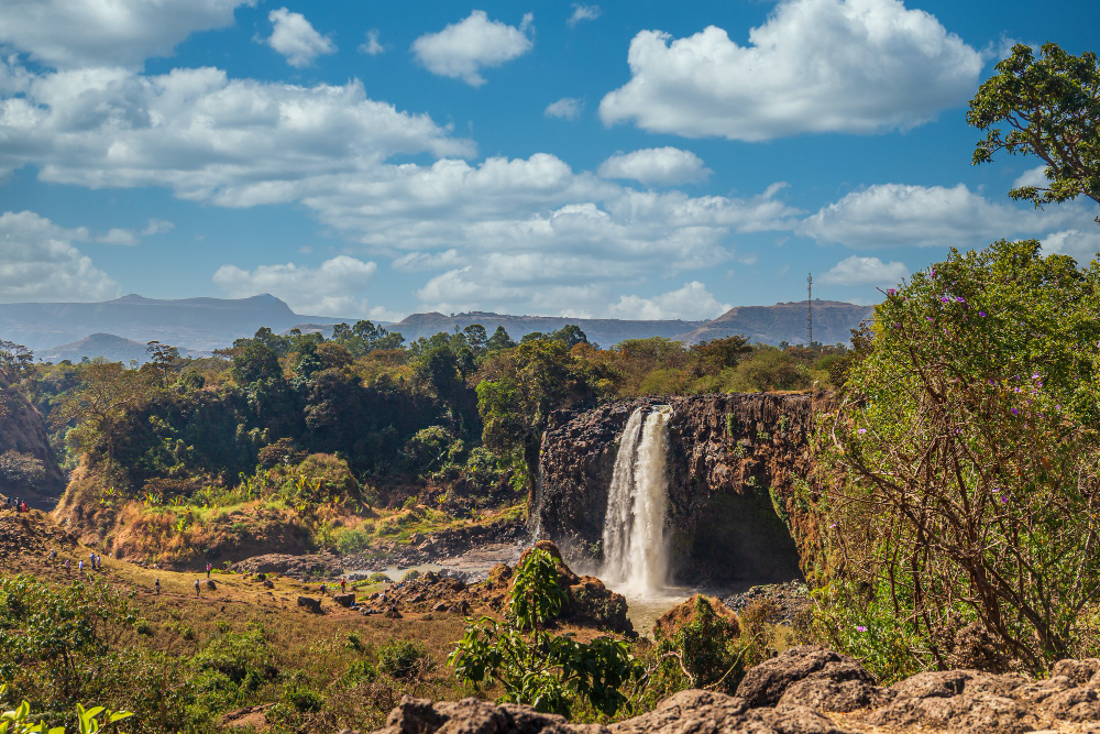 Experience the Real South Africa: Beyond the Tourist Spots