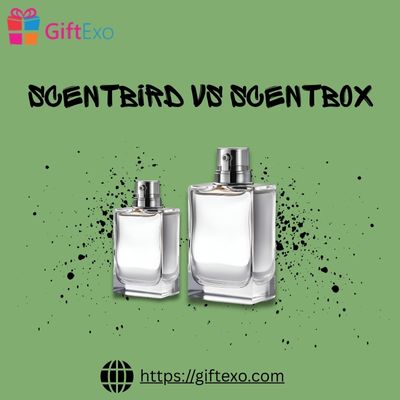 Making Your Choice: Scentbird Vs Scentbox For Your Scent Journey